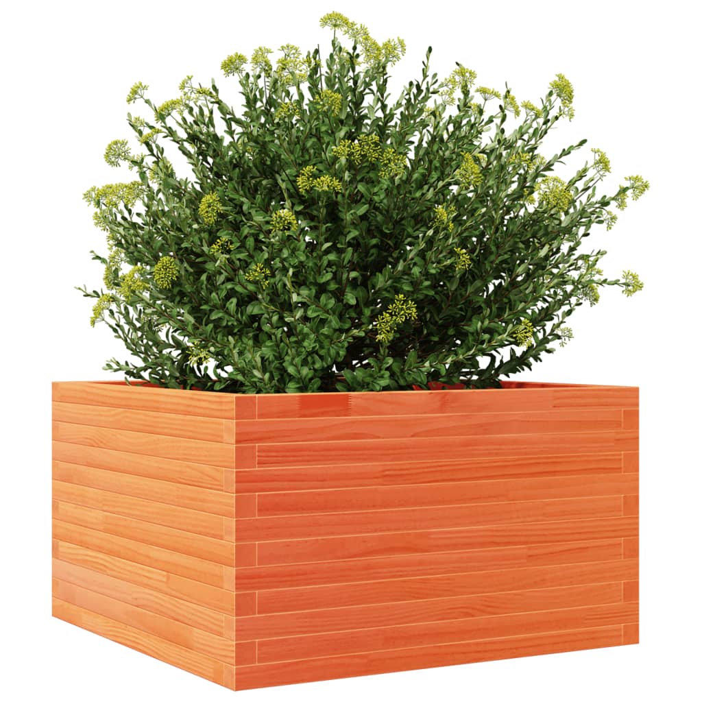 Plantekasse voksbrun 80x80x45,5 cm heltre furu