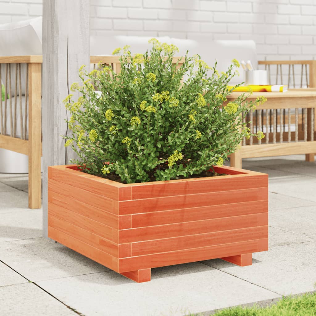 Plantekasse voksbrun 50x50x26,5 cm heltre furu