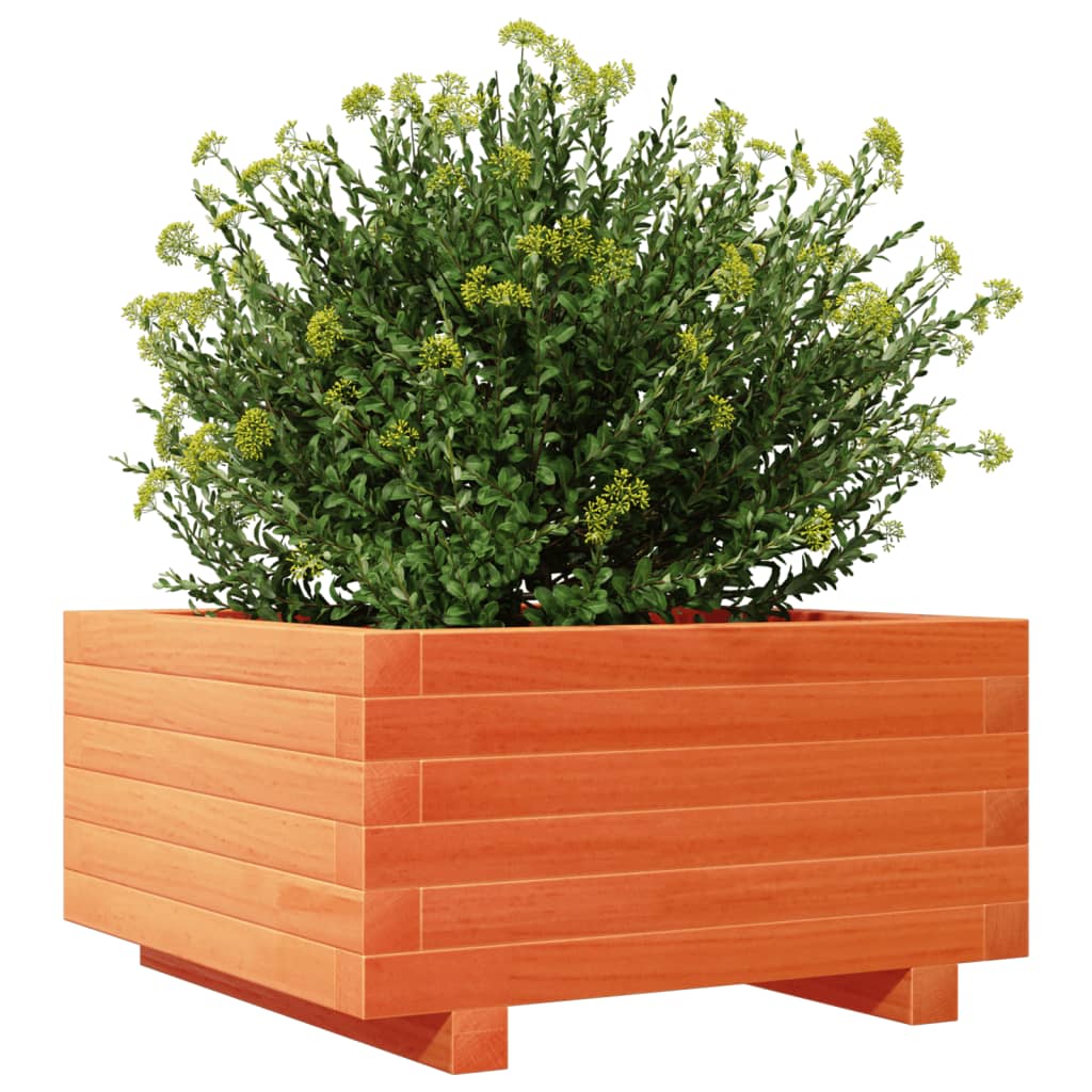 Plantekasse voksbrun 50x50x26,5 cm heltre furu