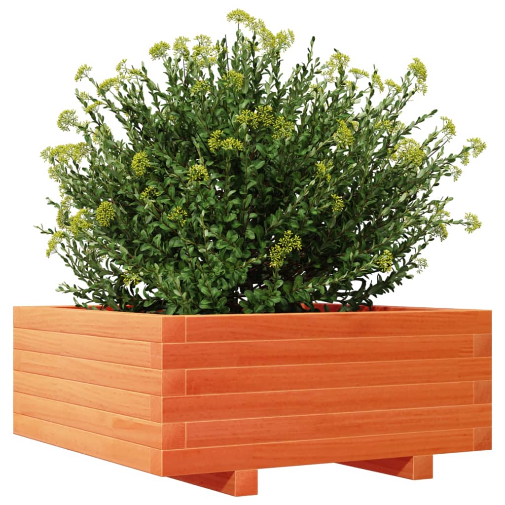 Plantekasse voksbrun 60x60x26,5 cm heltre furu
