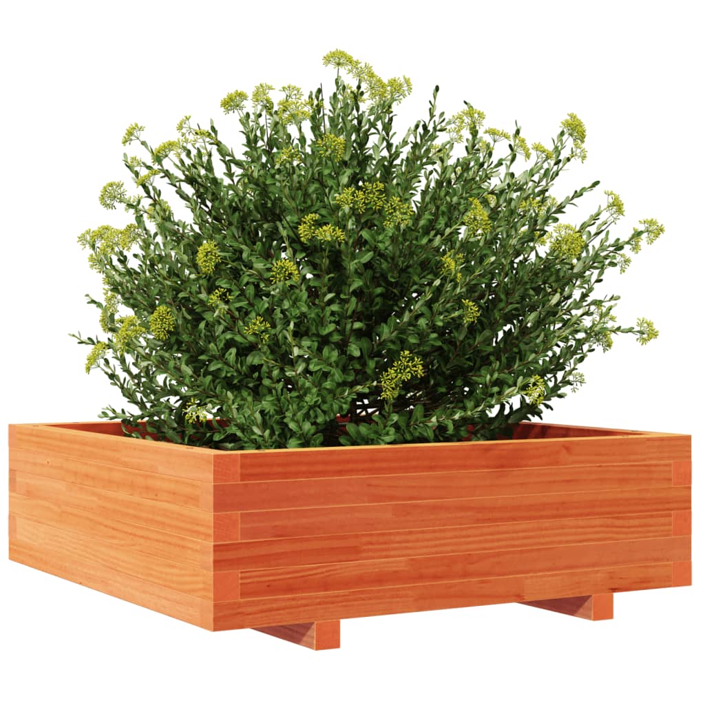 Plantekasse voksbrun 80x80x26,5 cm heltre furu