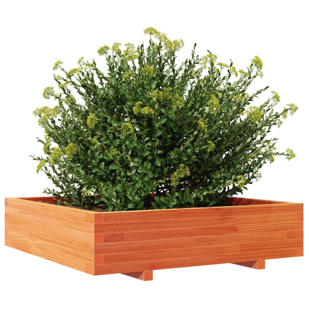 Plantekasse voksbrun 100x100x26,5 cm heltre furu