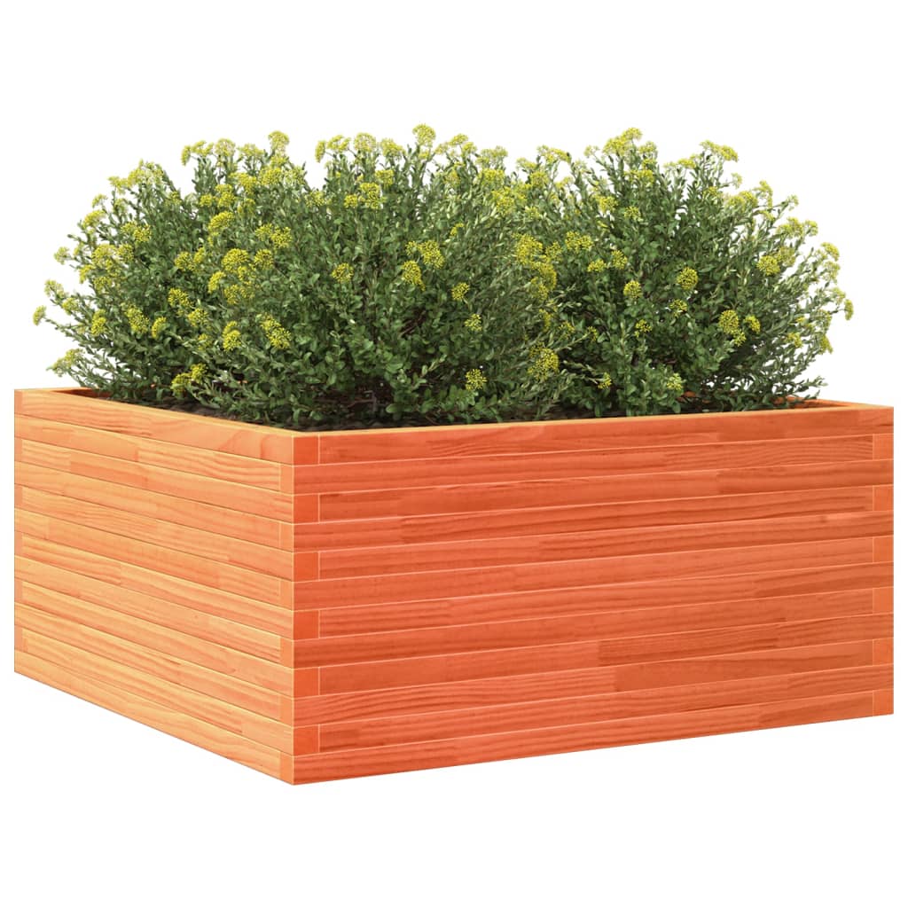 Plantekasse voksbrun 100x100x46 cm heltre furu