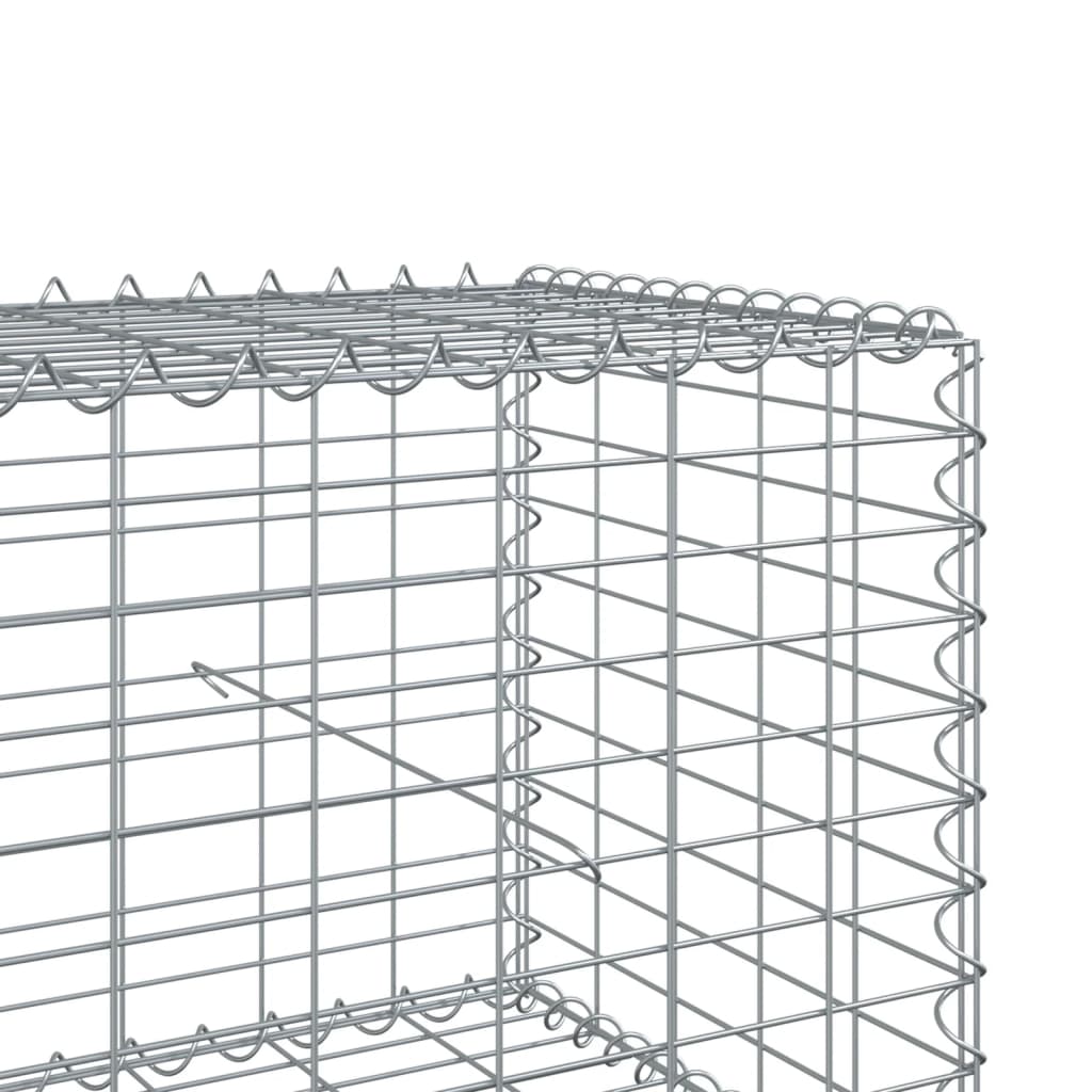 Gabionkurv med deksel 1000x50x50 cm galvanisert jern