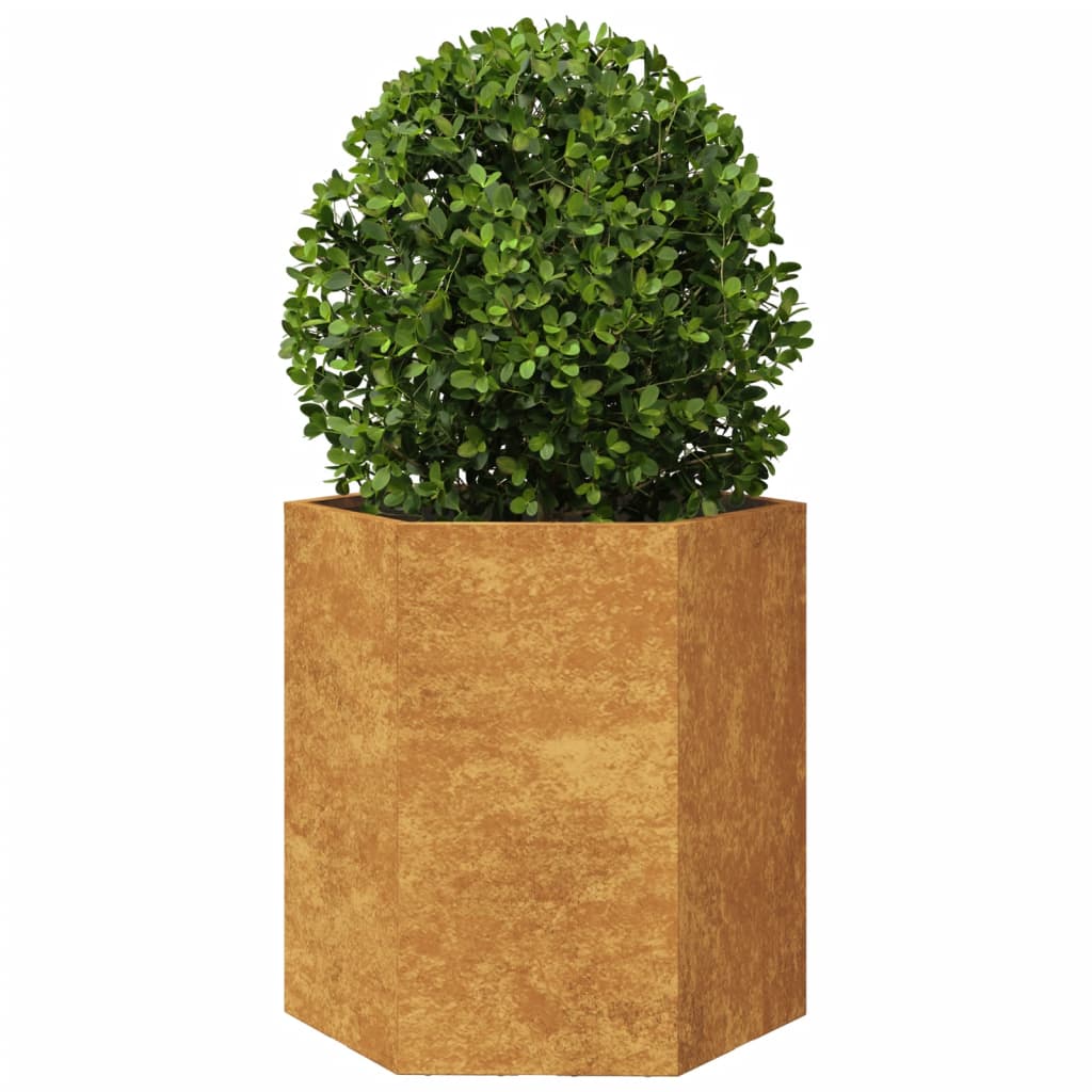 Plantekasser 2 stk sekskantet 46x40x45 cm Forvitringsstål