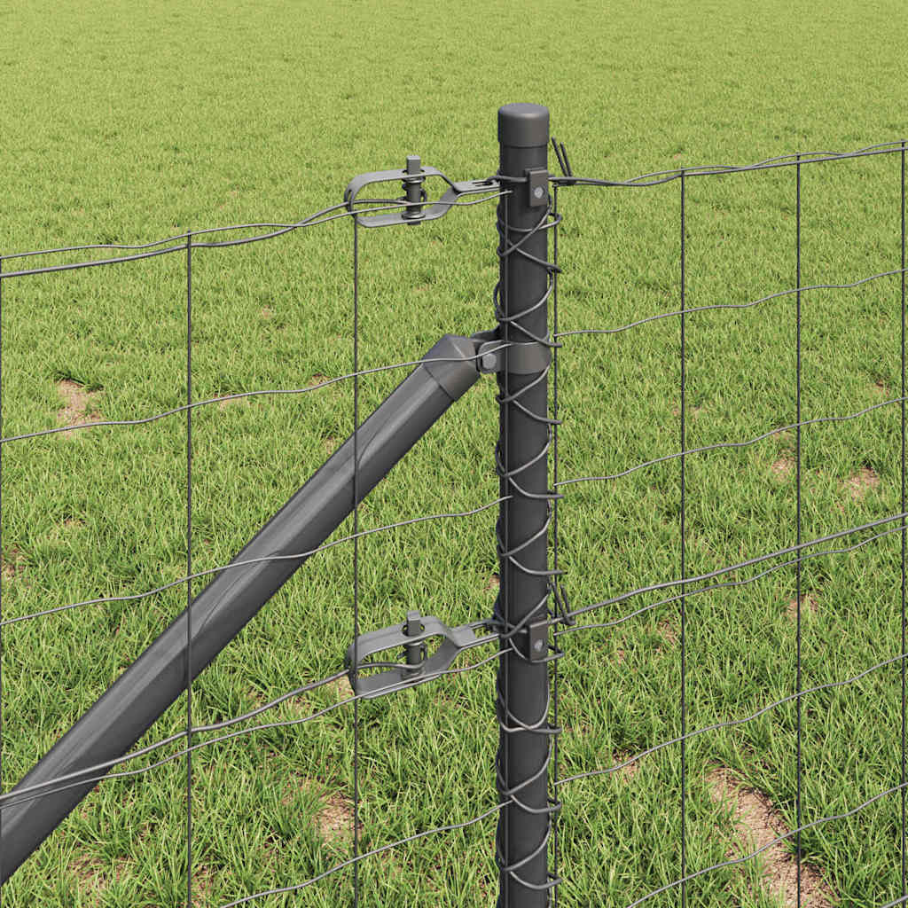 Euro-gjerde med pigger 10 x 0,6 m PVC-belagt stål Grå Mesh