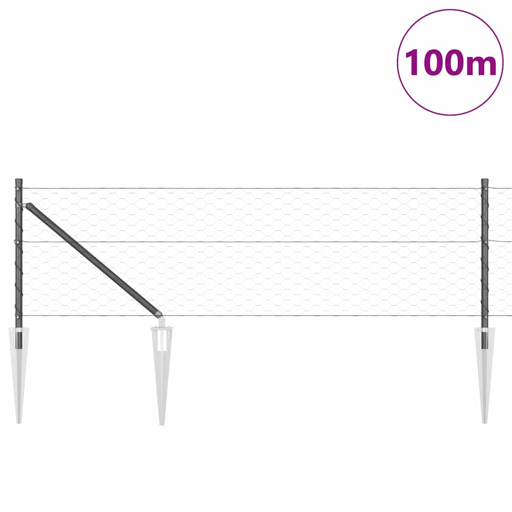 Sekskantet gjerde med post 100 x 0,6 m PVC-belagt stål Grå Mesh