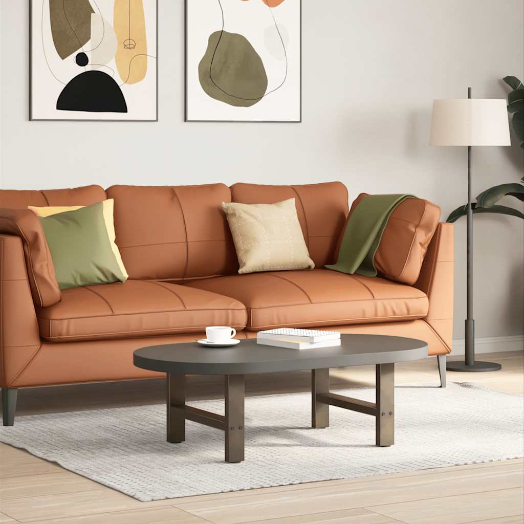 Salongbordben naturstål 2 stk 50x(30-31) cm stål