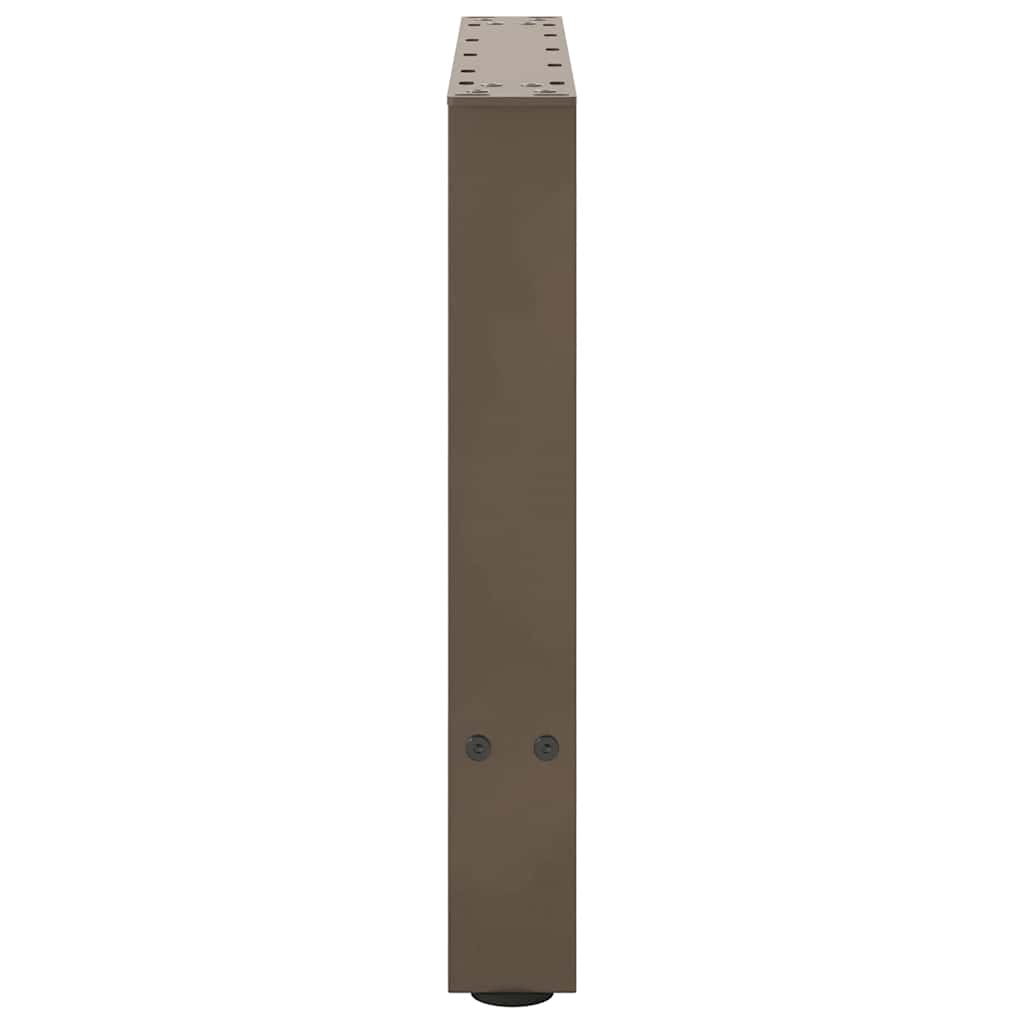 Salongbordben naturstål 2 stk 50x(42-43) cm stål