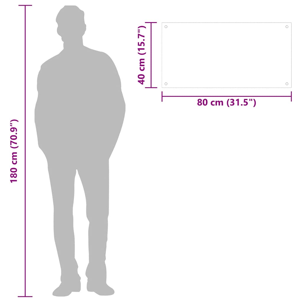 Kjøkkenplater 2 stk svart 80x40 cm herdet glass vidaXL