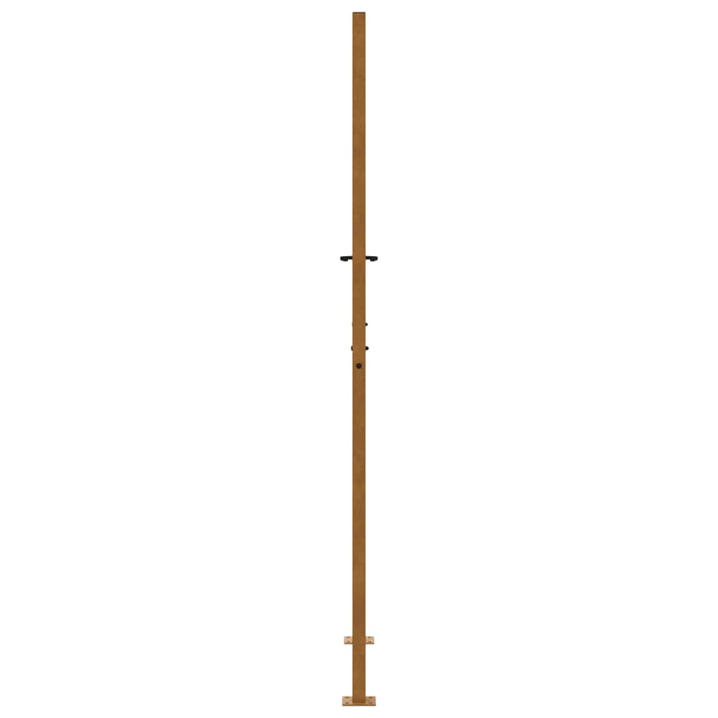 Hageport 100x200 cm værbestandig stål flammedesign