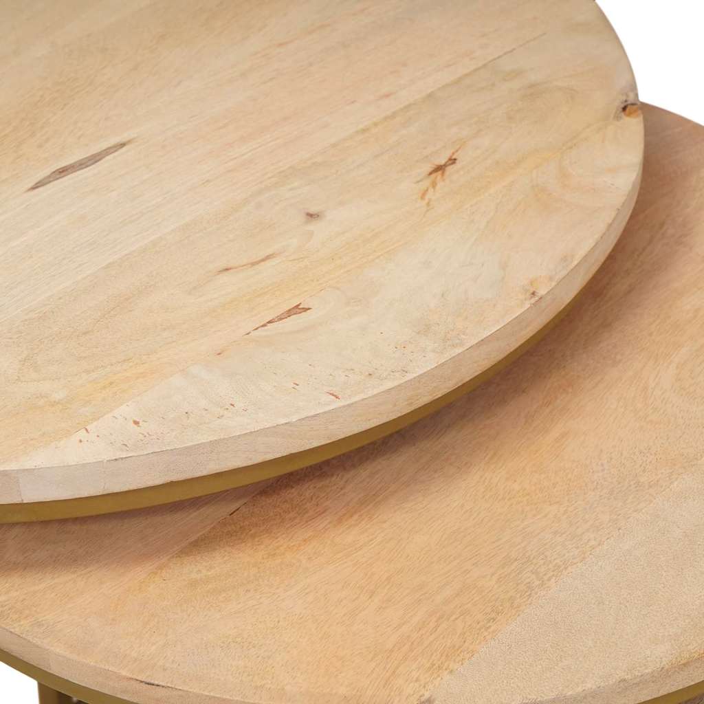 Nestende Kaffebord 3 pcs Brun Massivt mangotre og stål