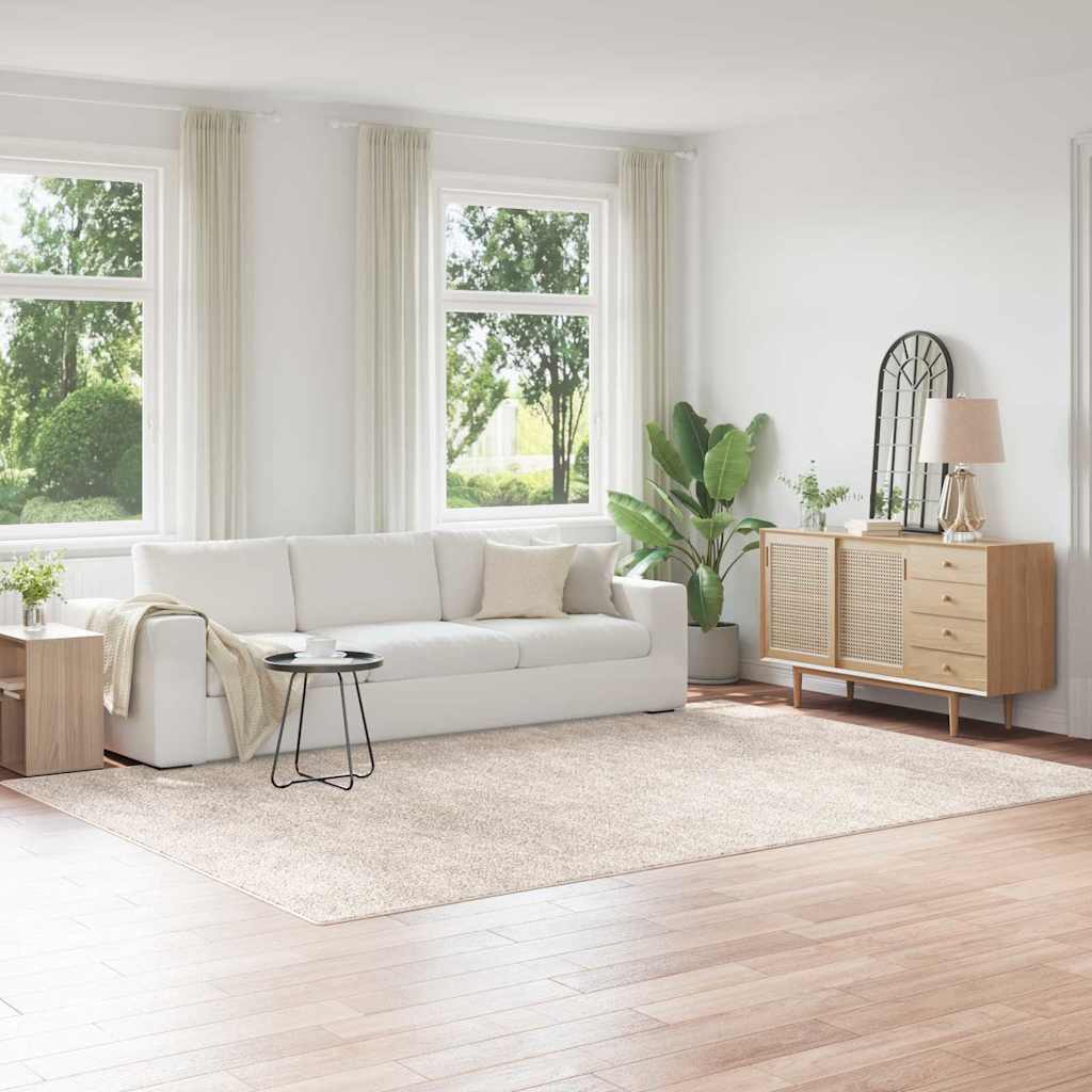 Anti-sklisikker Shaggy Teppe Krem 240 x 340 cm PP