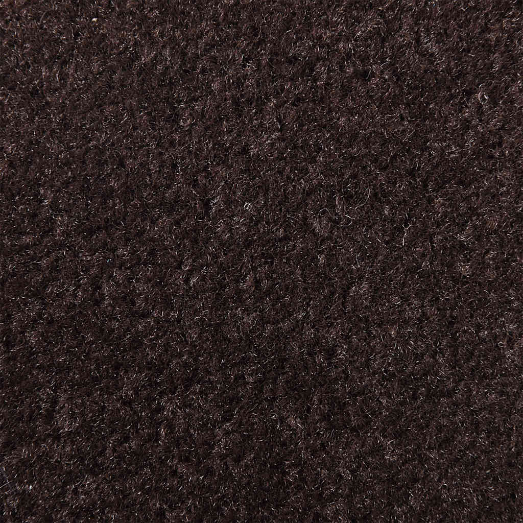 Dørmatte Brun 60x150 cm