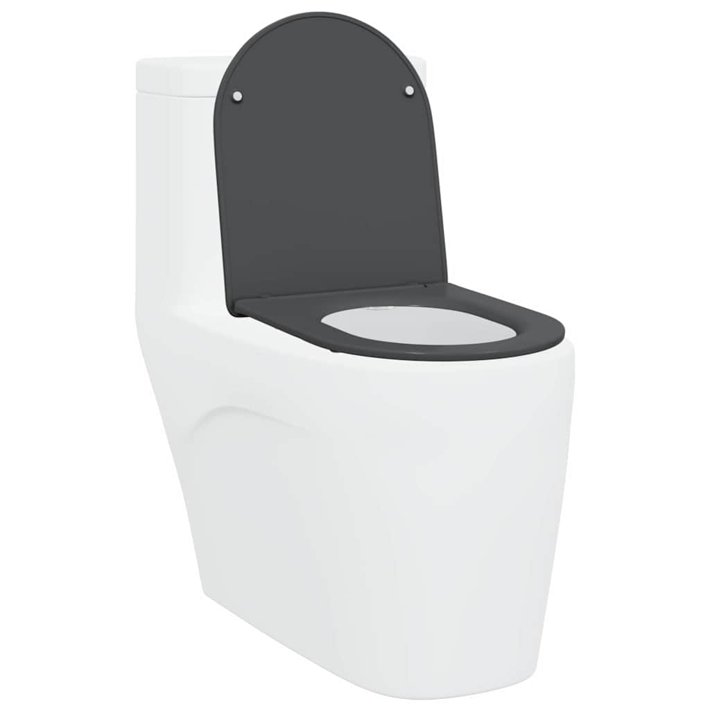 Toalettsete Antrasitt 47 x 36 x 3,4 cm Duroplast