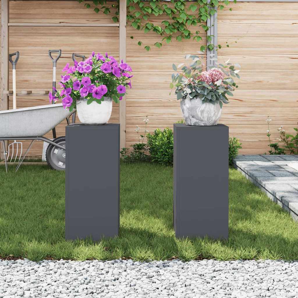 Planteholder 2 pcs Antrasitt 24 x 24 x 55 cm Stål