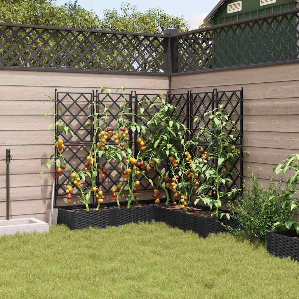 Hageblomsterpotte 5 pcs Svart 120 x 120 x 125,5 cm Plast