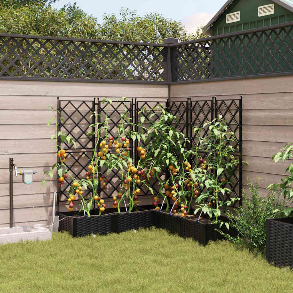 Hageblomsterpotte 5 stk. Svart 120 x 120 x 126 cm PP