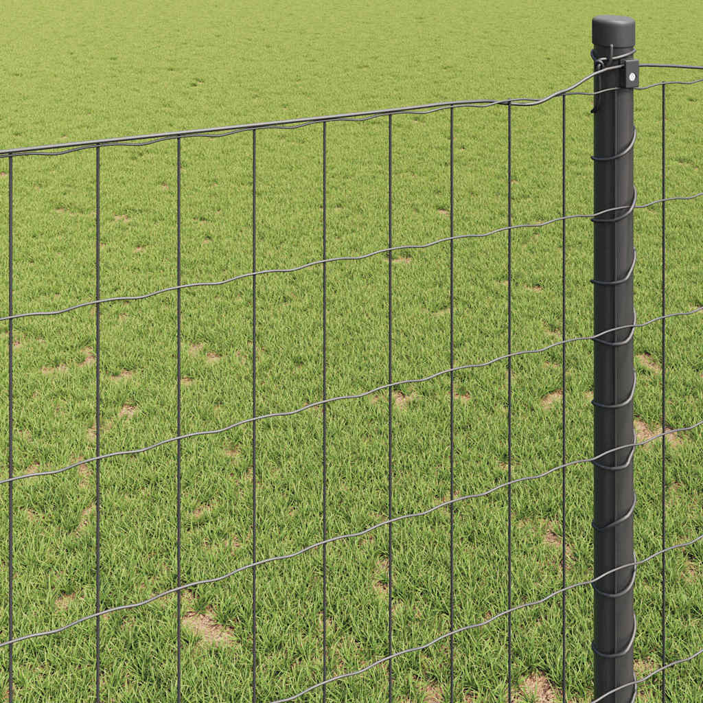 Euro gjerde Grå 1 x 10 m PVC-belagt jern