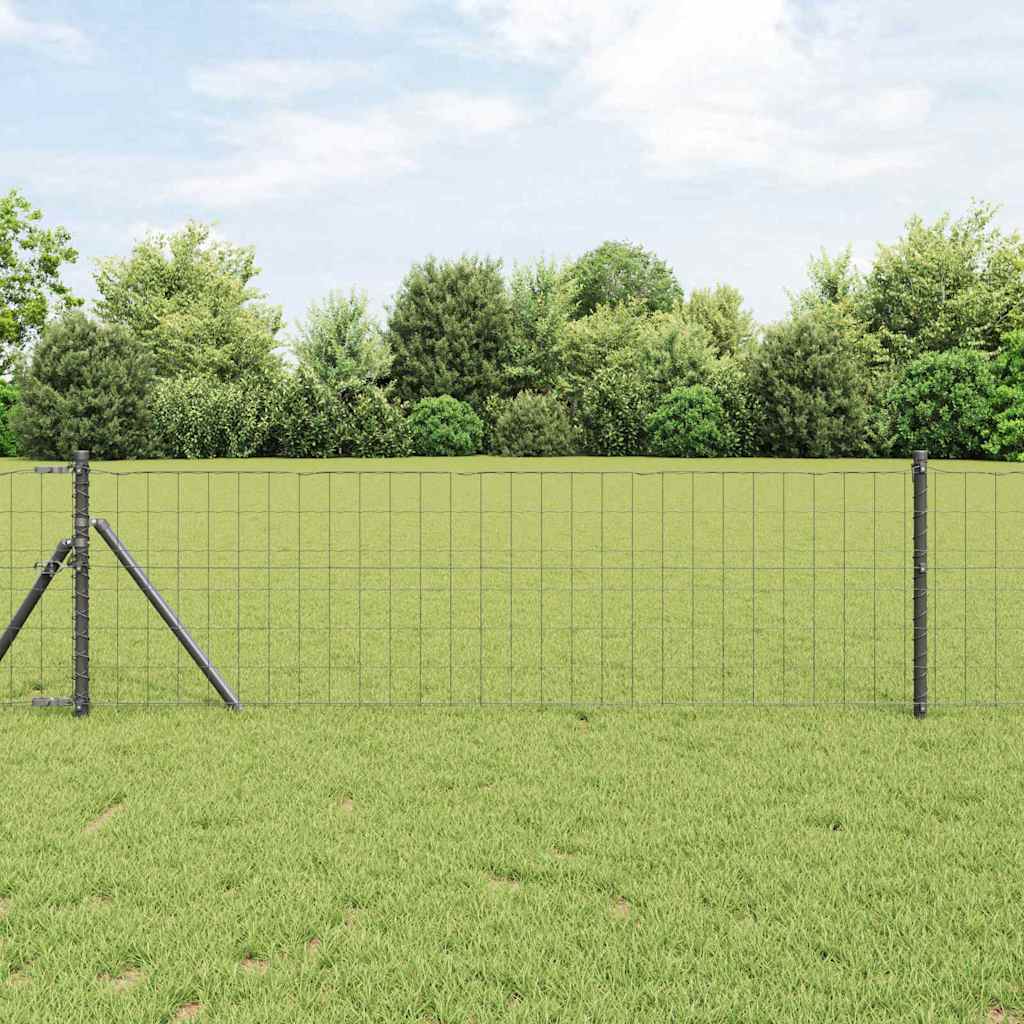 Euro gjerde Grå 0.8 x 10 m PVC-belagt jern