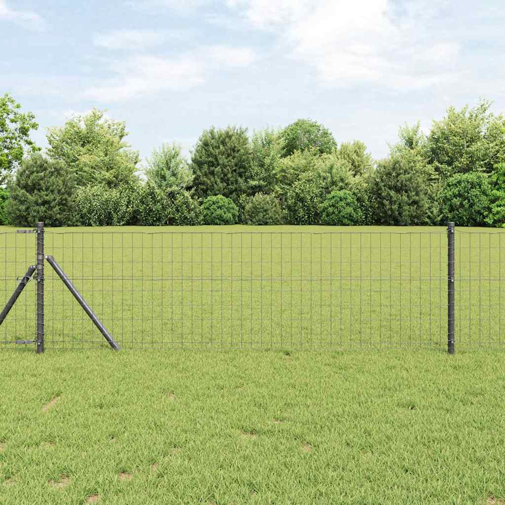 Euro gjerde Grå 0,8 x 25 m PVC-belagt jern
