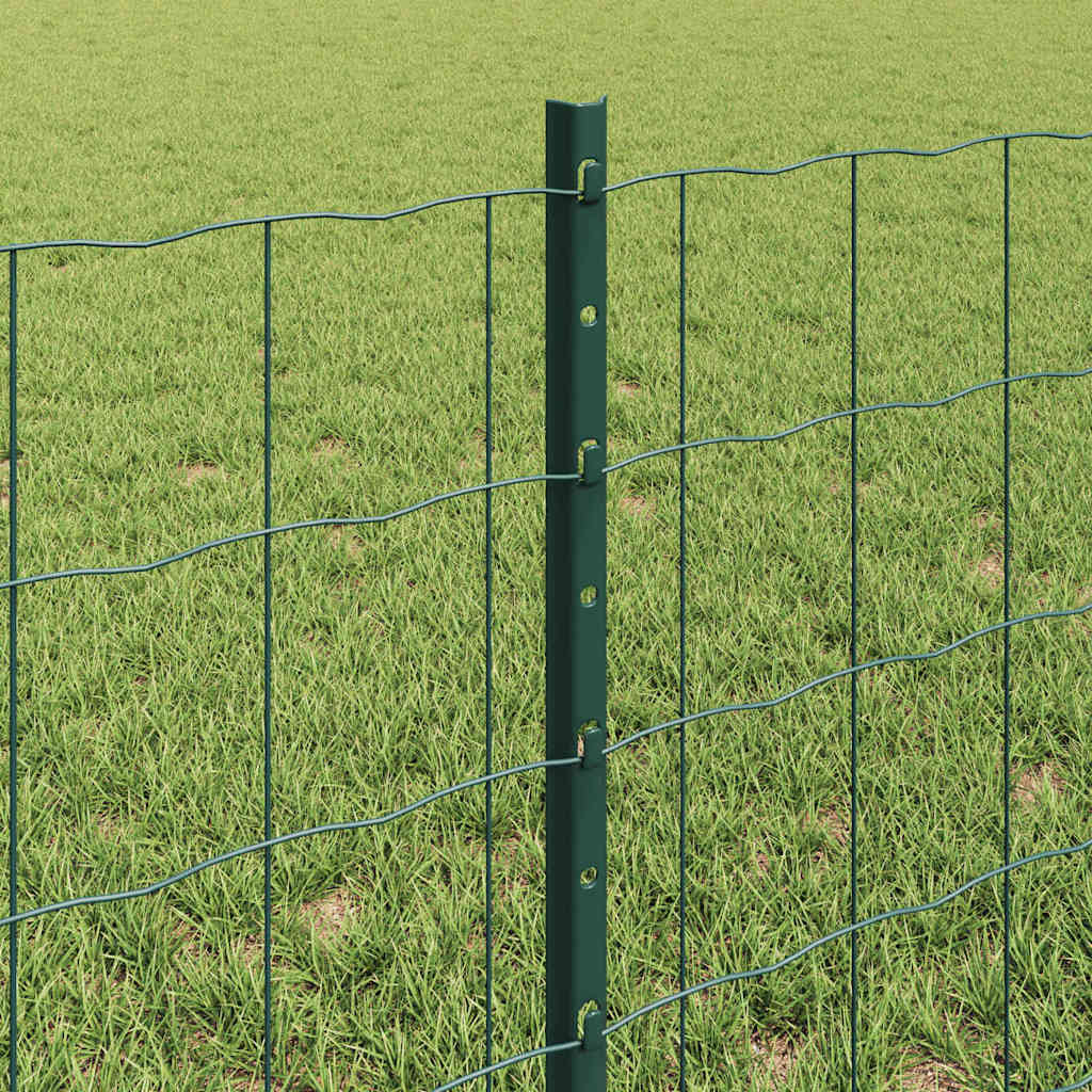 Euro gjerdet med stolpe 10 x 0,6 m PVC-belagt stål Grønn Mesh