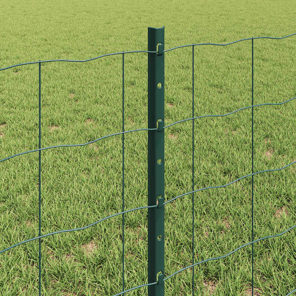 Euro gjerdet med stolpe 10 x 0,6 m PVC-belagt stål Grønn Mesh