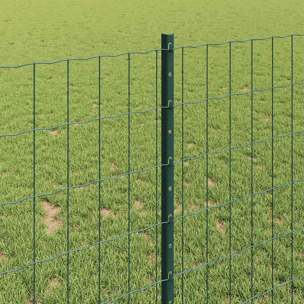 Euro gjerdet med stolpe 25 x 1 m PVC-belagt stål Grønn Mesh