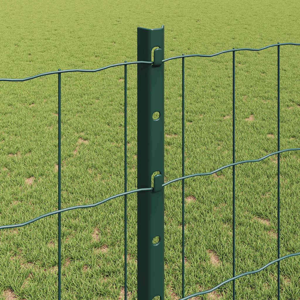 Euro gjerdet med stolpe 25 x 1,2 m PVC-belagt stål Grønn Mesh