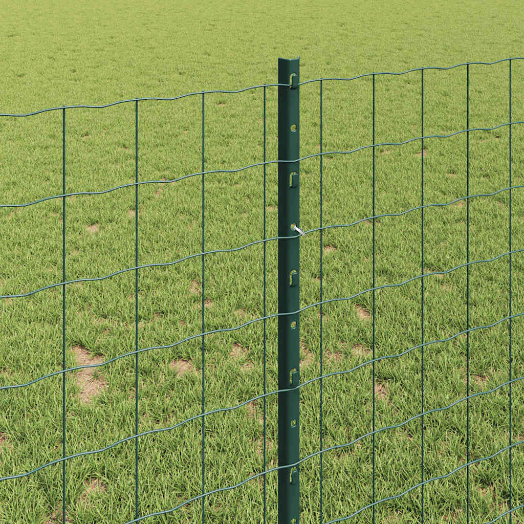 Euro gjerdet med stolpe 10 x 1 m PVC-belagt stål Grønn Mesh