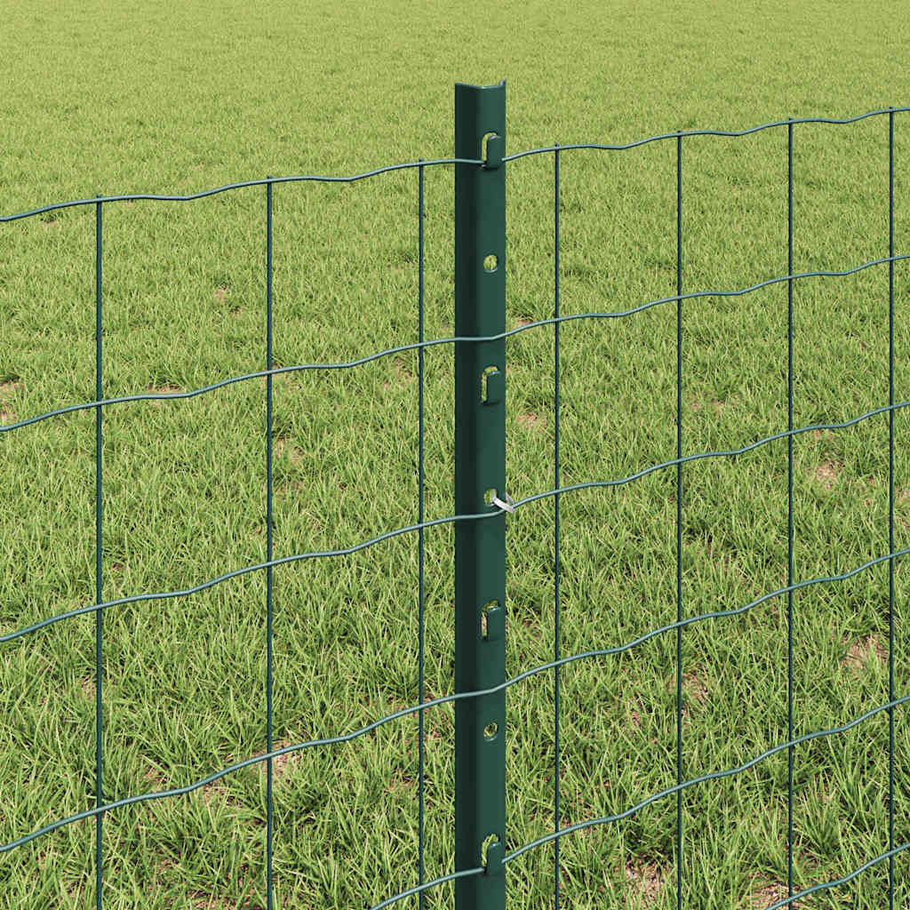 Euro gjerdet med stolpe 25 x 0,6 m PVC-belagt stål Grønn Mesh