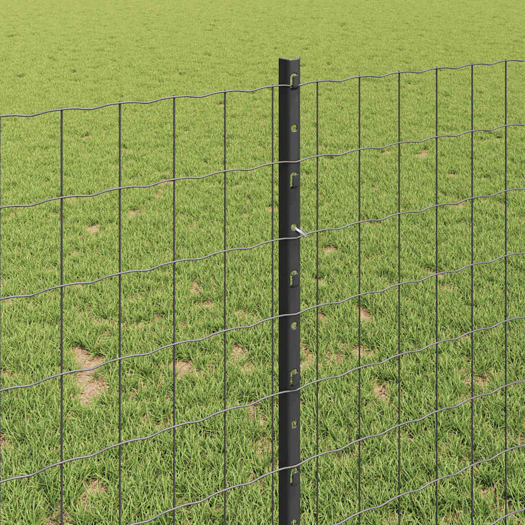 Euro gjerdet med stolpe 10 x 1 m PVC-belagt stål Grå Mesh