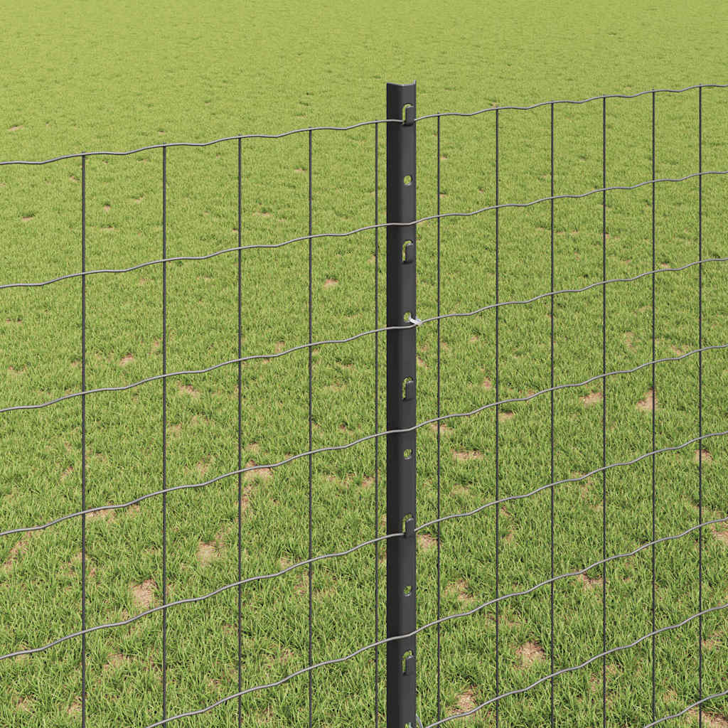 Euro gjerdet med stolpe 10 x 1,6 m PVC-belagt stål Grå Mesh