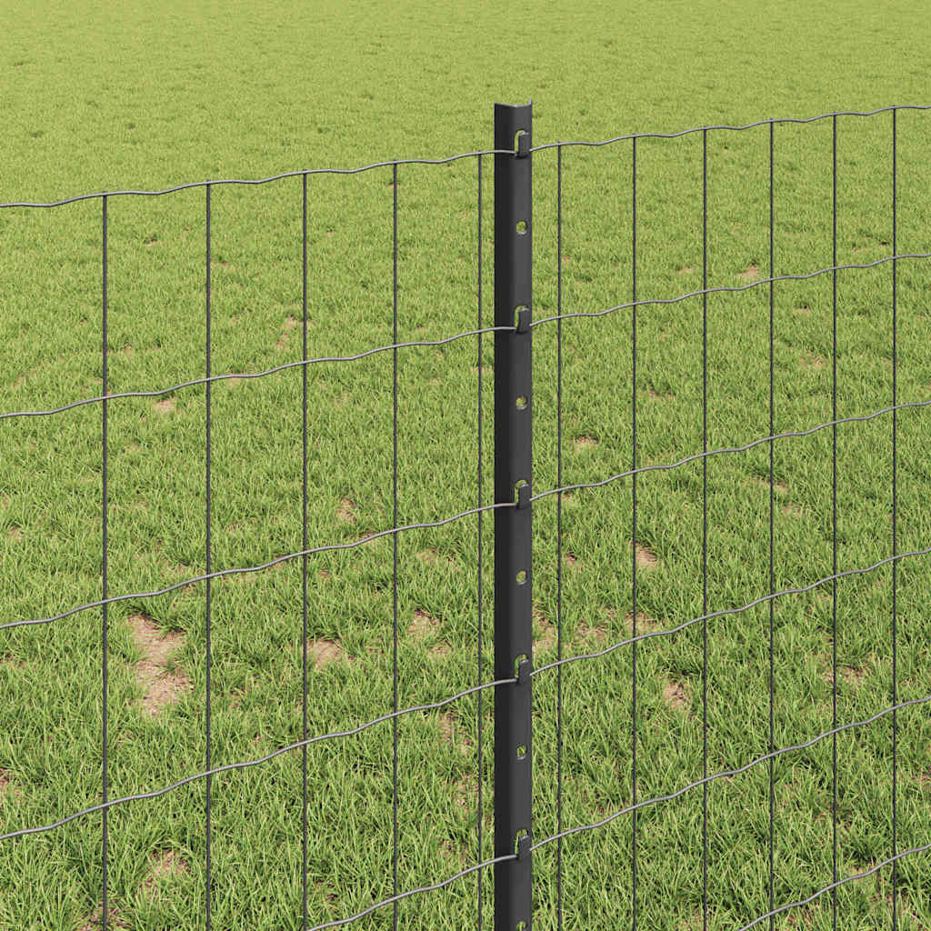 Euro gjerdet med stolpe 10 x 1 m PVC-belagt stål Grå Mesh