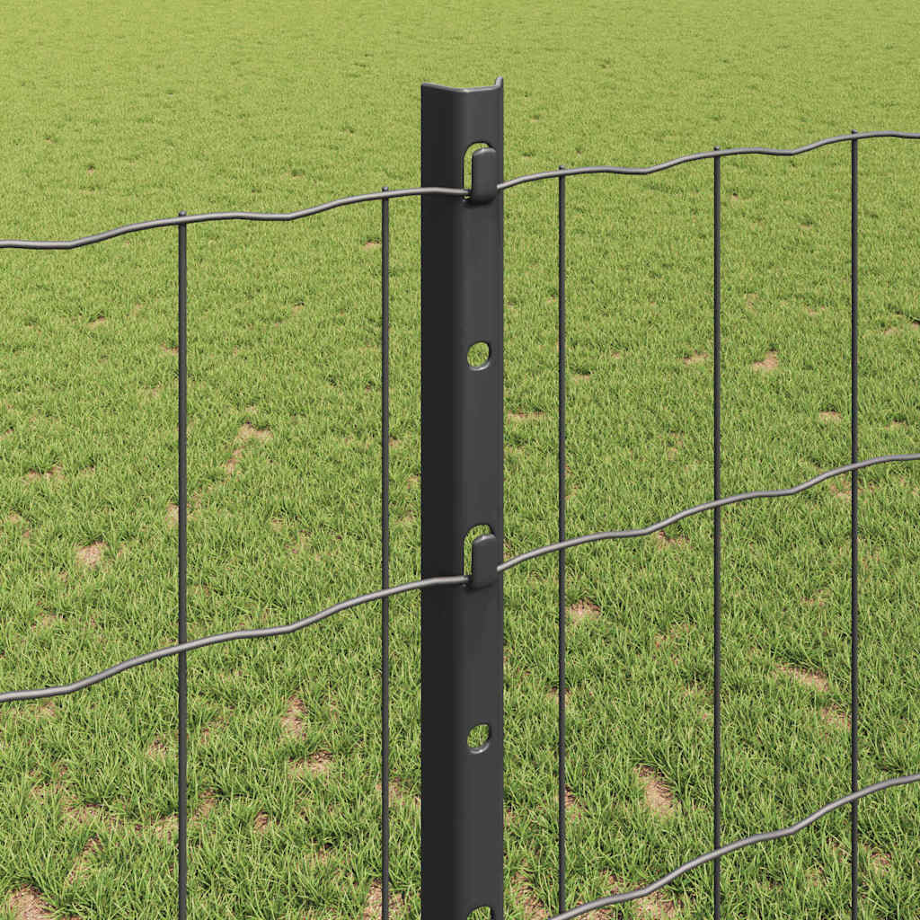 Euro gjerdet med stolpe 10 x 1,2 m PVC-belagt stål Grå Mesh