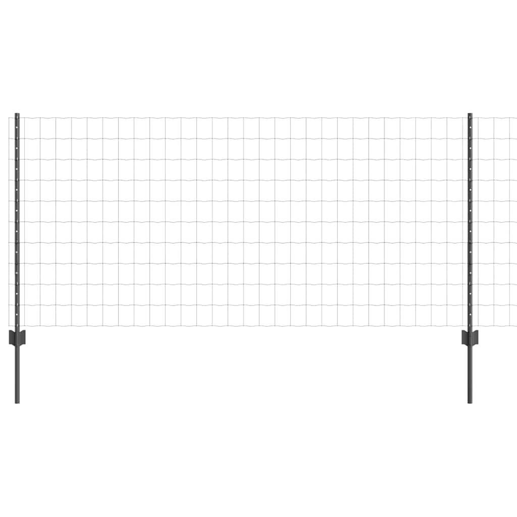 Euro gjerdet med stolpe 10 x 1 m PVC-belagt stål Grå Mesh