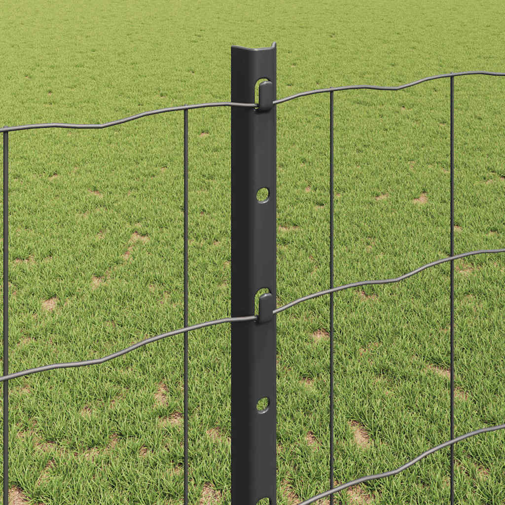 Euro gjerdet med stolpe 10 x 1,2 m PVC-belagt stål Grå Mesh