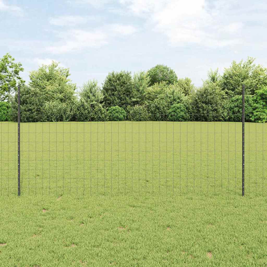 Euro gjerdet med stolpe 10 x 1,2 m PVC-belagt stål Grå Mesh