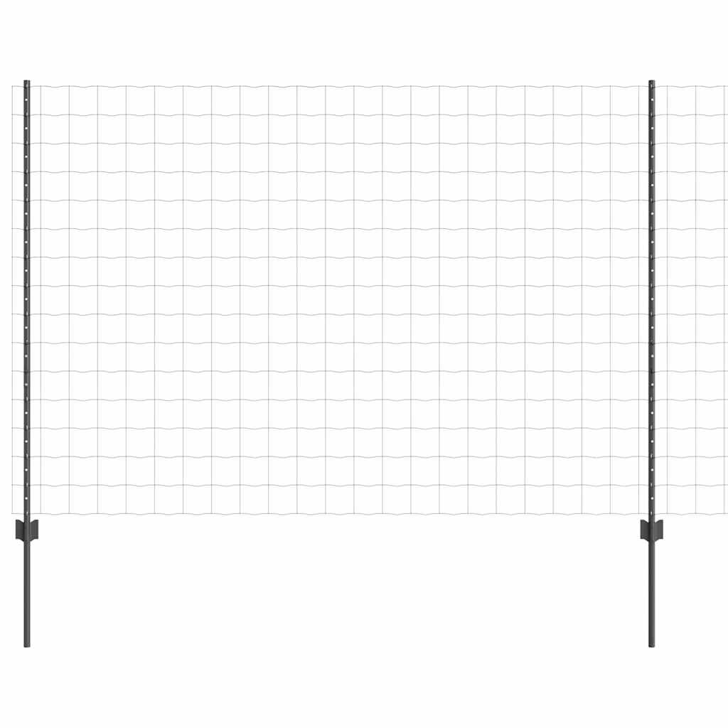Euro gjerdet med stolpe 10 x 1,6 m PVC-belagt stål Grå Mesh