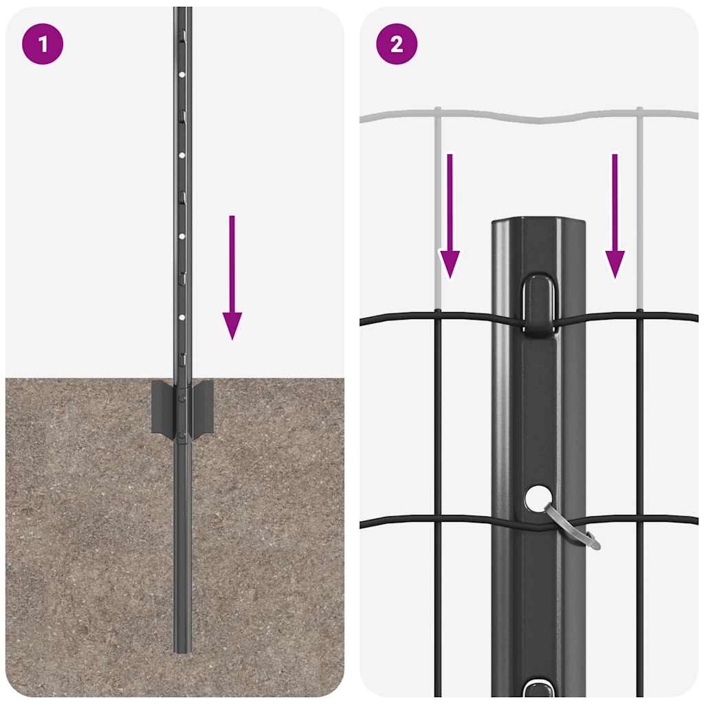 Euro gjerdet med stolpe 25 x 0,8 m PVC-belagt stål Grå Mesh