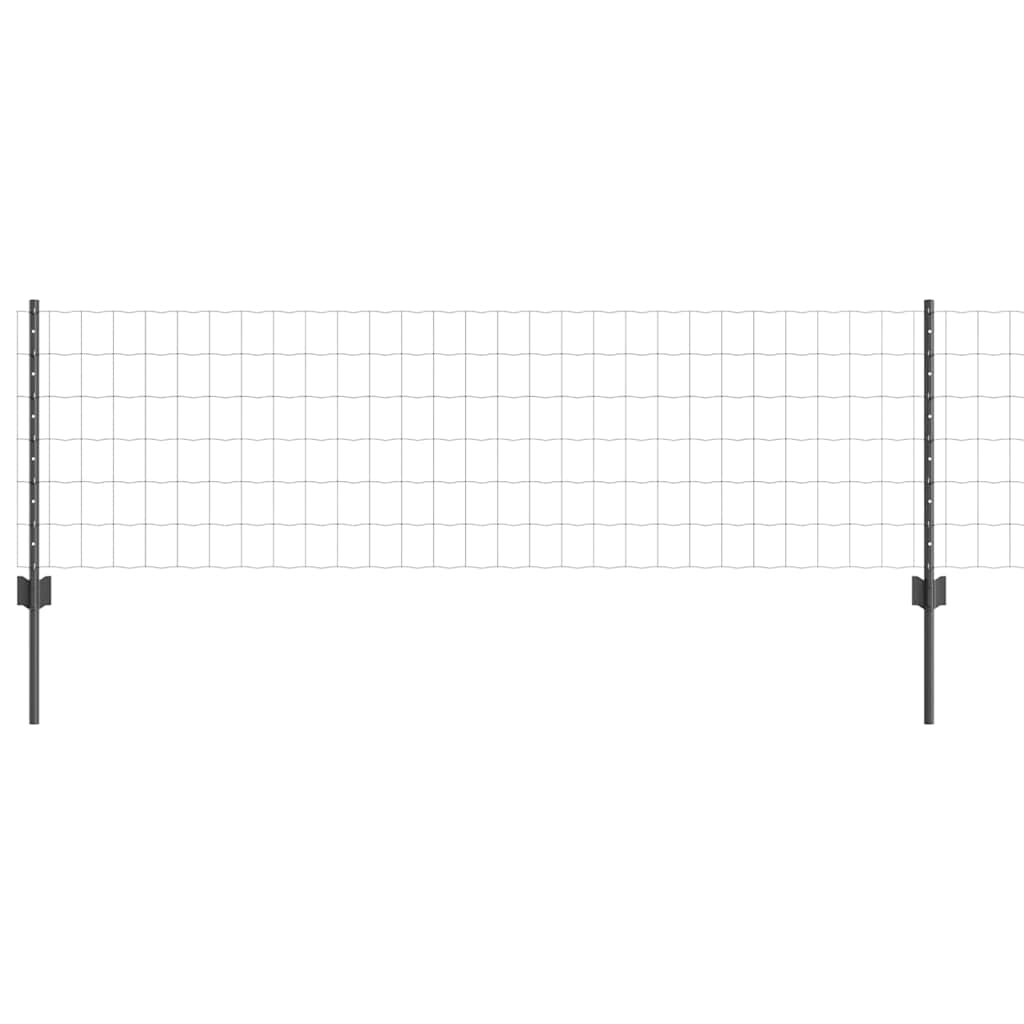 Euro gjerdet med stolpe 25 x 0,6 m PVC-belagt stål Grå Mesh