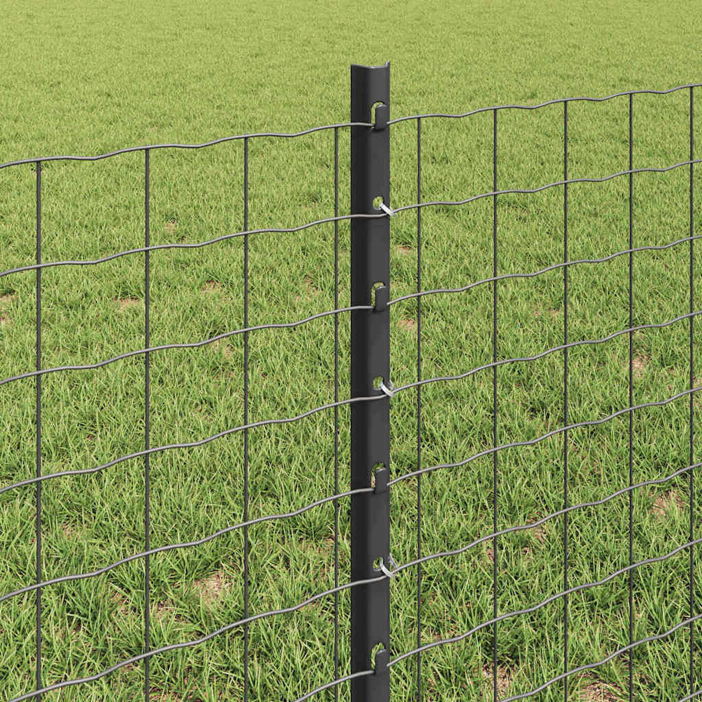 Euro gjerdet med stolpe 50 x 0,6 m PVC-belagt stål Grå Mesh