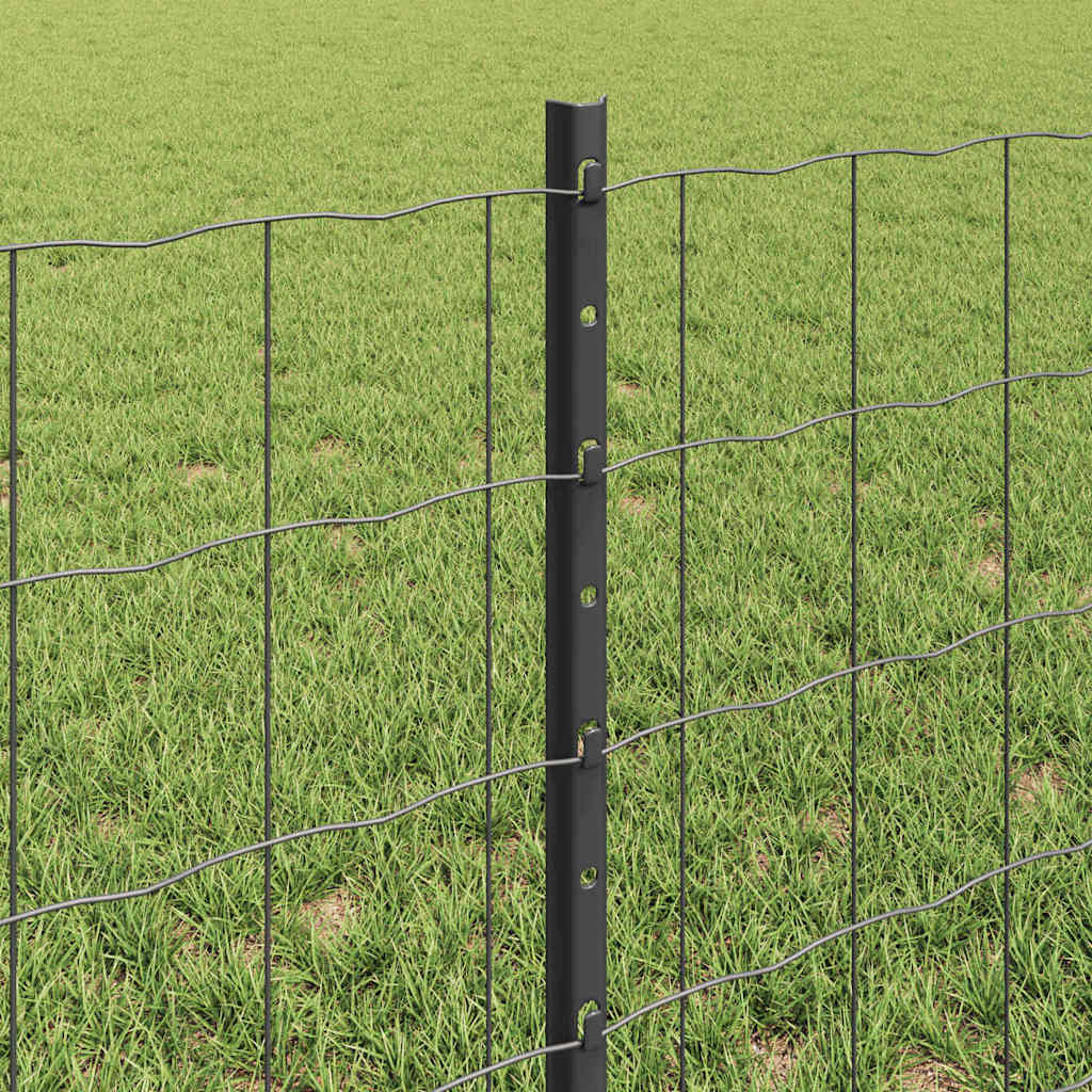 Euro gjerdet med stolpe 50 x 0,6 m PVC-belagt stål Grå Mesh