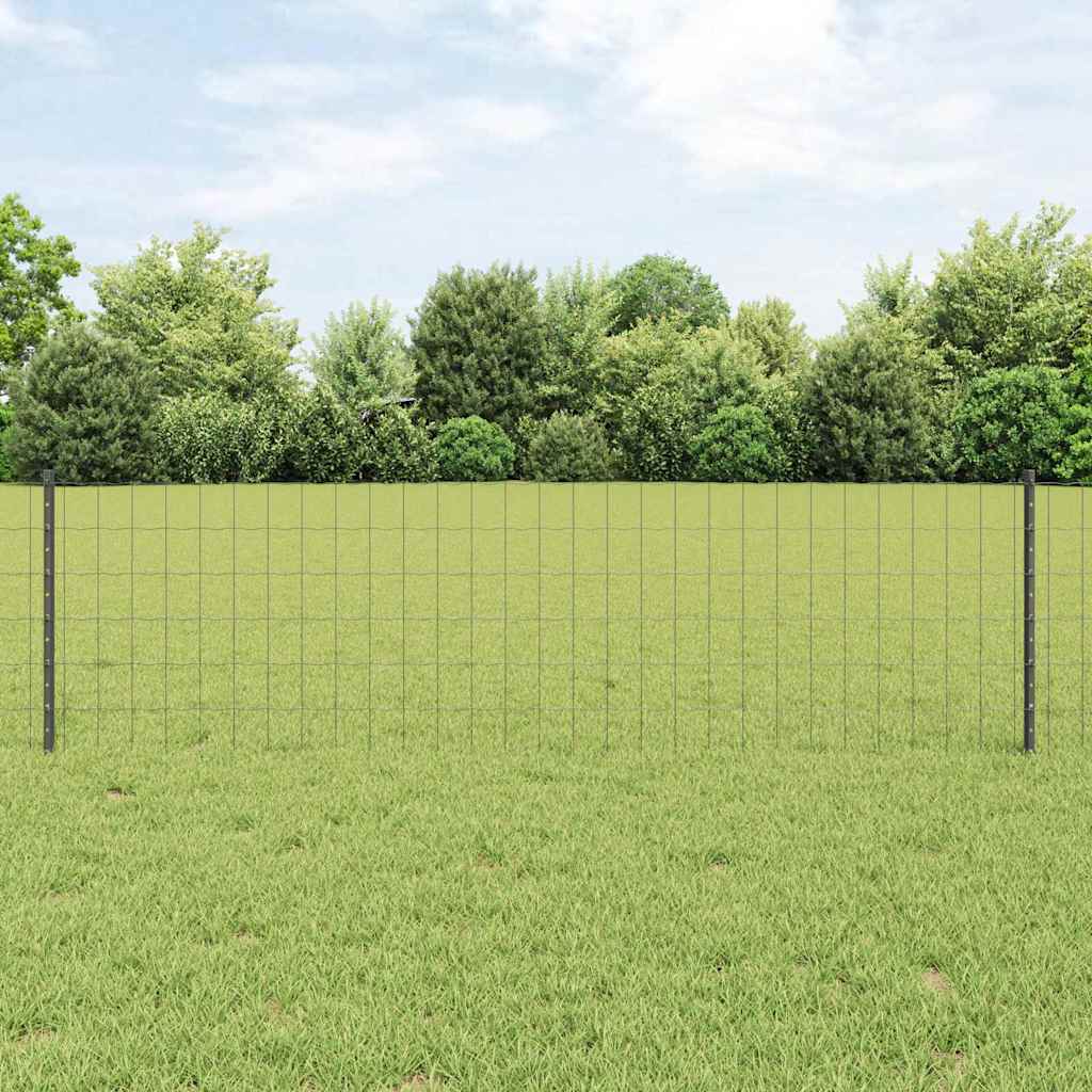 Euro gjerdet med stolpe 50 x 0,6 m PVC-belagt stål Grå Mesh