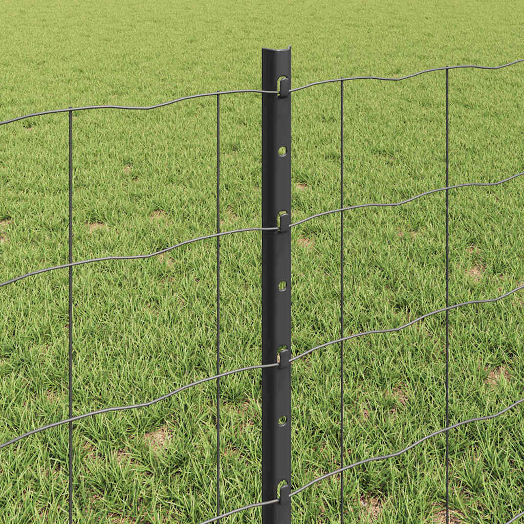 Euro gjerdet med stolpe 50 x 0,6 m PVC-belagt stål Grå Mesh