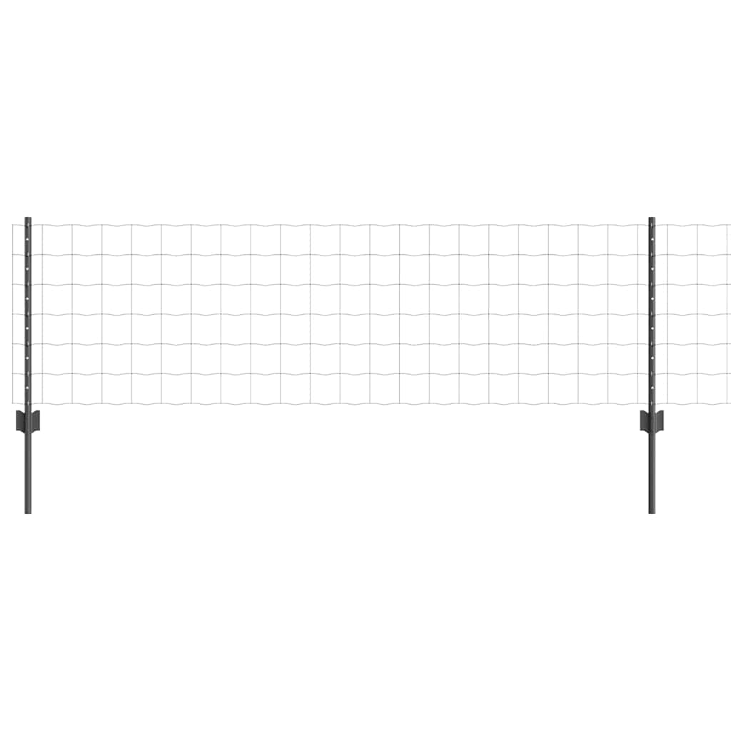 Euro gjerdet med stolpe 50 x 0,6 m PVC-belagt stål Grå Mesh