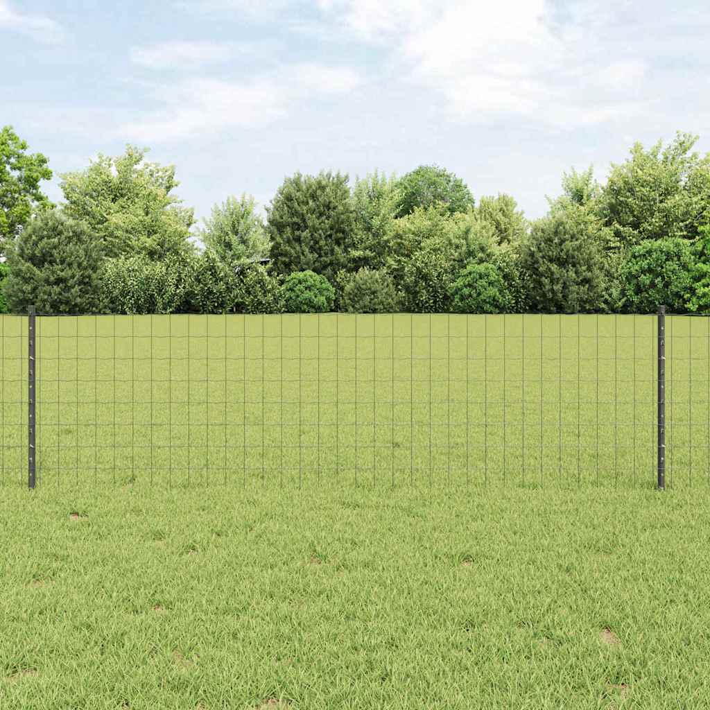 Euro gjerdet med stolpe 50 x 0,6 m PVC-belagt stål Grå Mesh