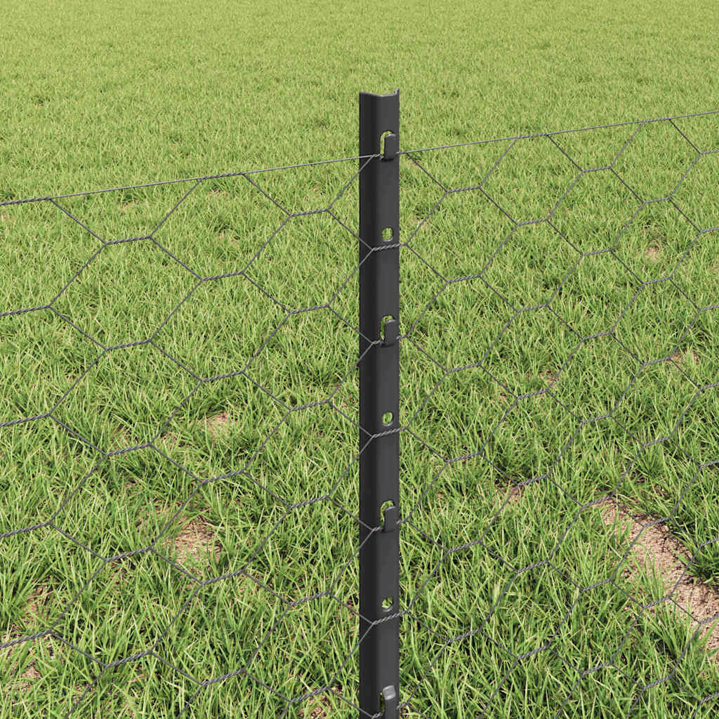 Sekskantet gjerde med post 10 x 0,4 m PVC-belagt stål Grå Mesh