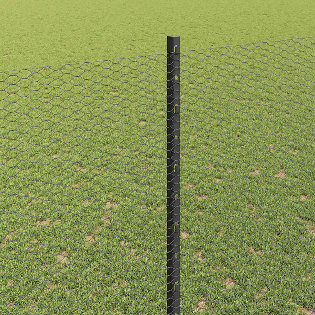 Sekskantet gjerde med post 10 x 1,6 m PVC-belagt stål Grå Mesh