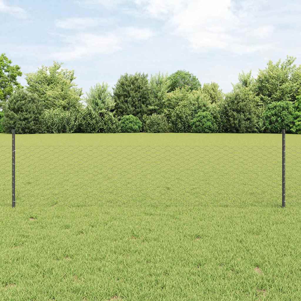 Sekskantet gjerde med post 25 x 0,5 m PVC-belagt stål Grå Mesh